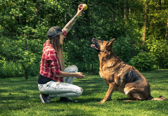 Bem-Estar Canino: Como as Atividades ao Ar Livre Melhoram a Vida do Seu Cão