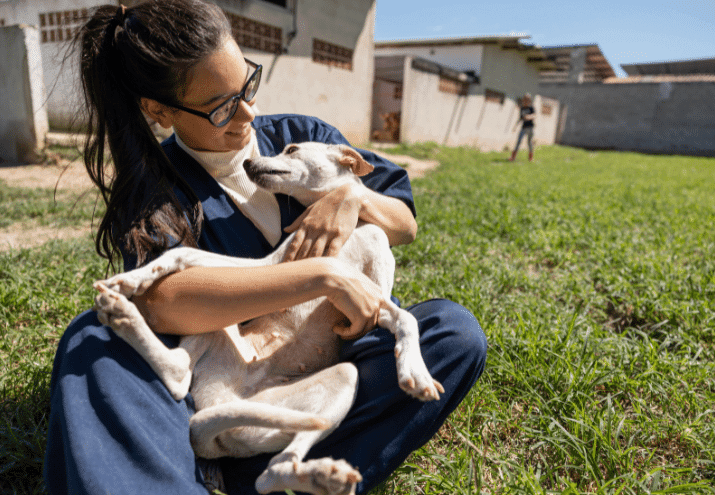 Como montar um CV atrativo para trabalhar com animais