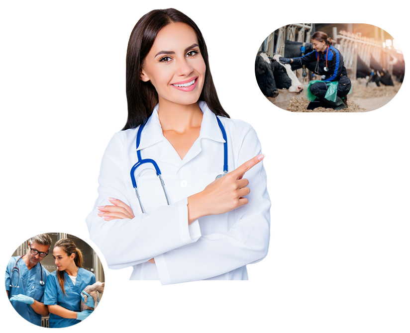 Recurso formulario footer